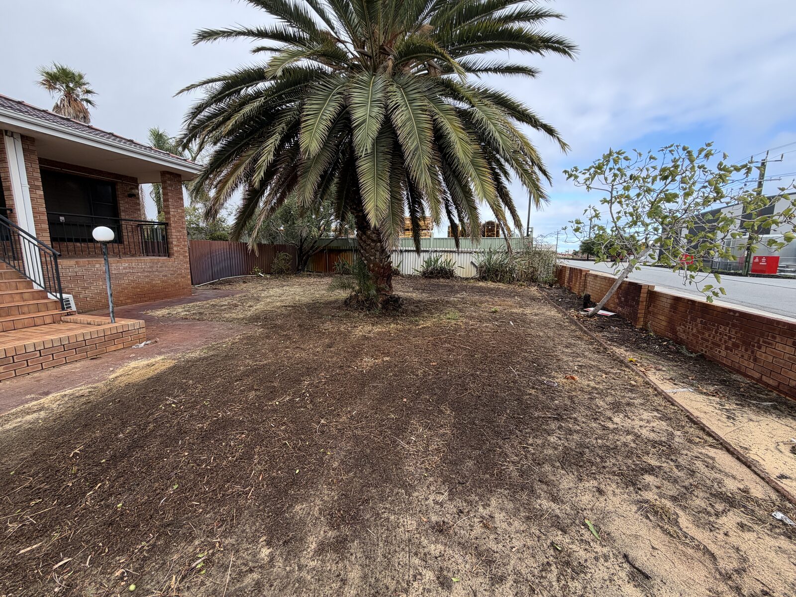 Palm-tree yard cleared of green waste