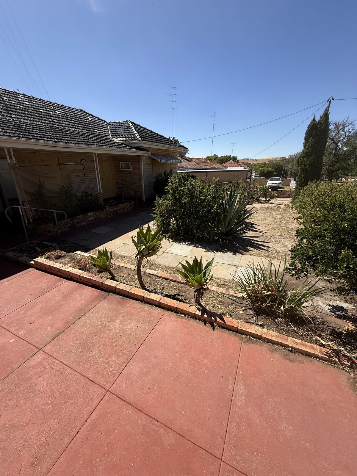 Residential front yard before Ascend clean-up
