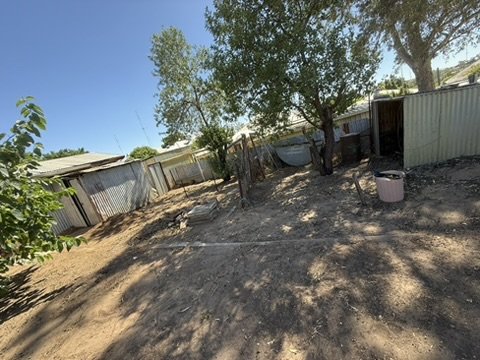 Tidy backyard with cleared ground and trimmed garden