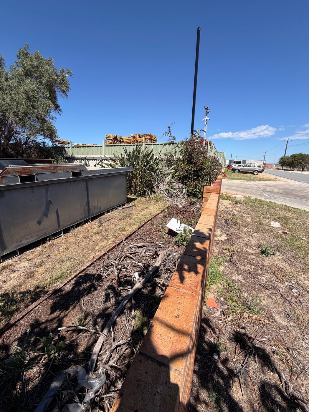 Untidy boundary garden bed with weeds and debris